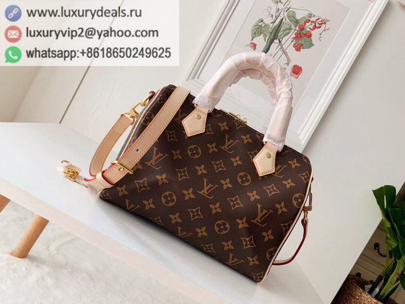 LV Speedy 25 Pillow Bag M41113