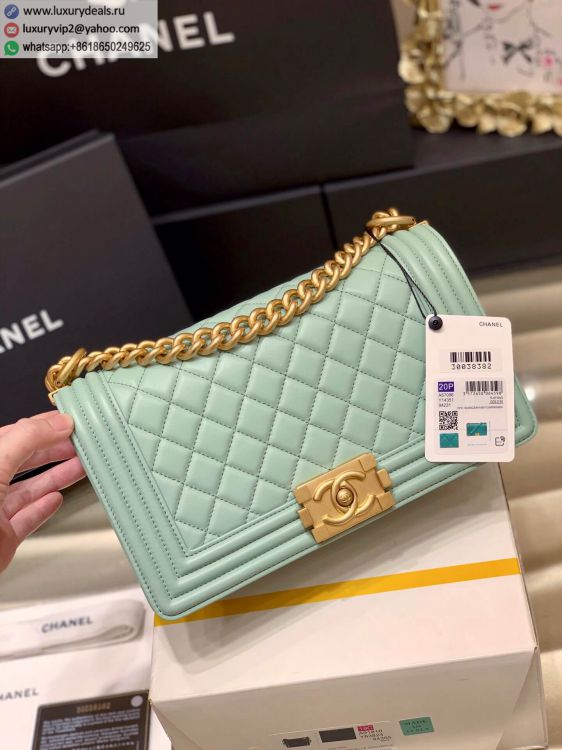 Chanel Leboy 25 A67086 Women Sheepskin Shoulder Bags Green