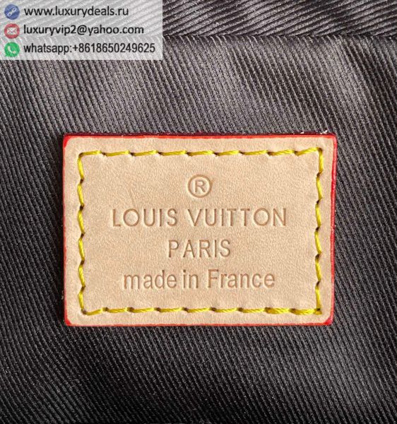 Louis Vuitton Bags