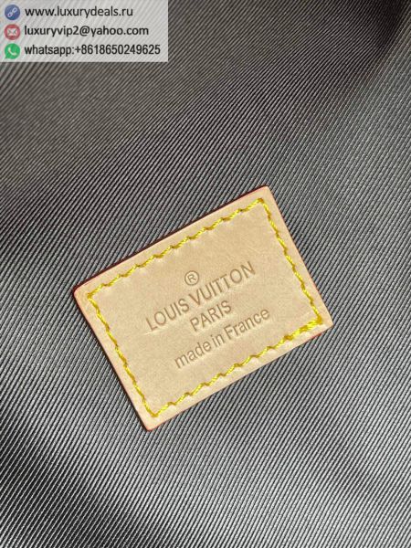 Louis Vuitton Bags