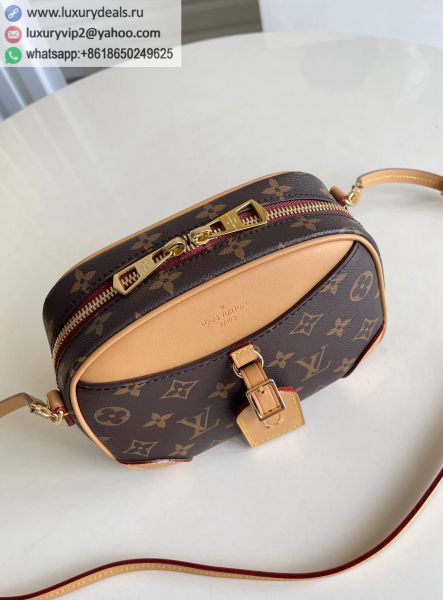 Louis Vuitton Bags