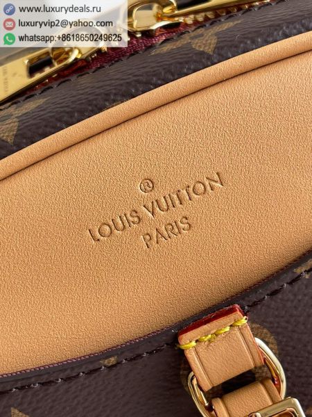 Louis Vuitton Bags