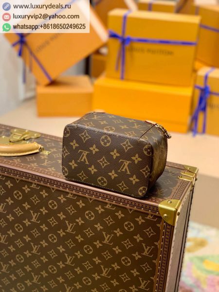 Louis Vuitton Bags