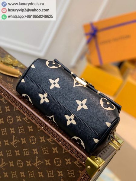 Louis Vuitton Bags