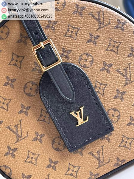 Louis Vuitton Bags