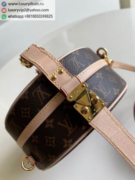 Louis Vuitton Bags