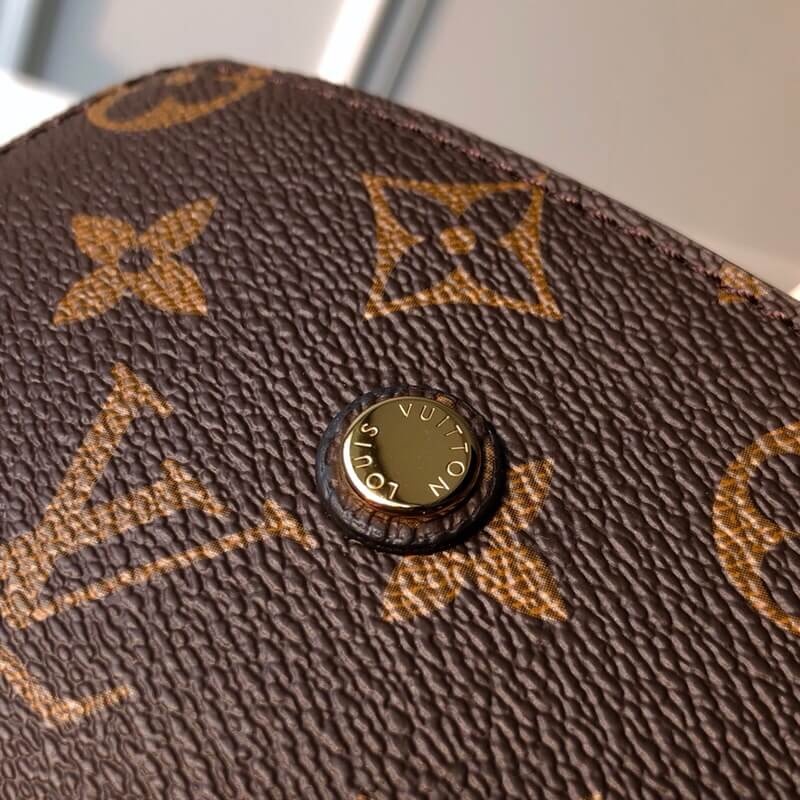 Louis Vuitton Bags