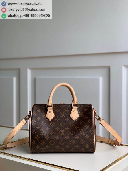 Louis Vuitton Bags