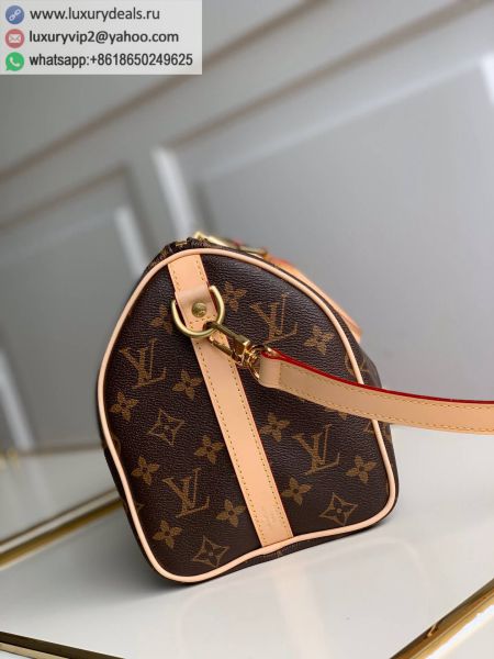 Louis Vuitton Bags