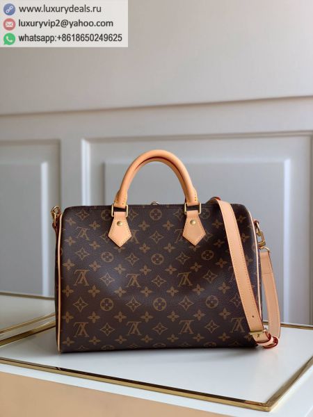 Louis Vuitton Bags