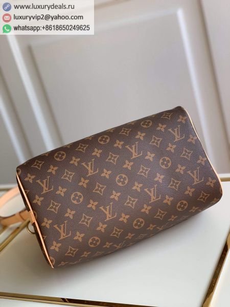 Louis Vuitton Bags