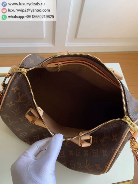 Louis Vuitton Bags