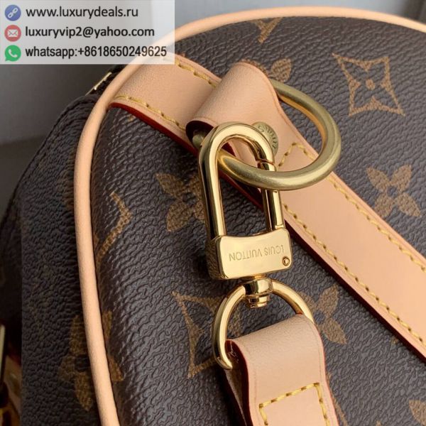 Louis Vuitton Bags