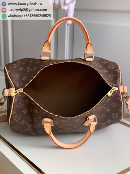 Louis Vuitton Bags