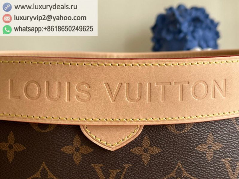 Louis Vuitton Bags