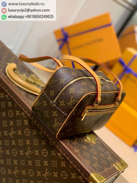 Louis Vuitton Bags