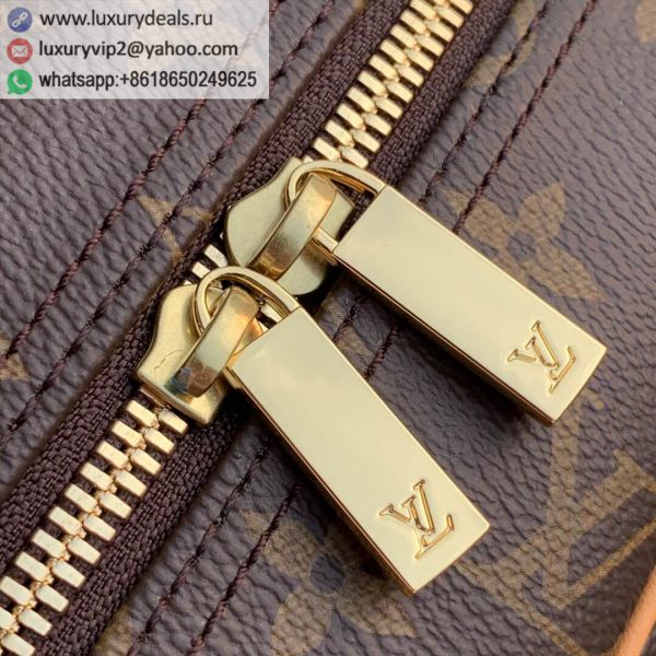 Louis Vuitton Bags