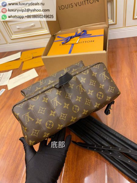 Louis Vuitton Bags