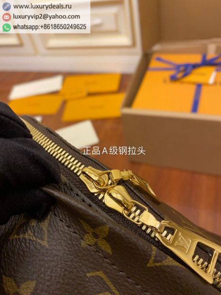 Louis Vuitton Bags