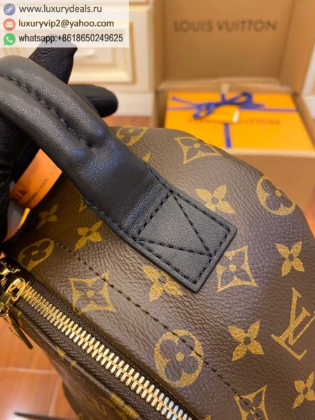 Louis Vuitton Bags