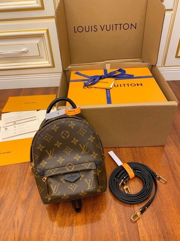 Louis Vuitton LV Palm Springs mini M44873 Monogram Backpacks