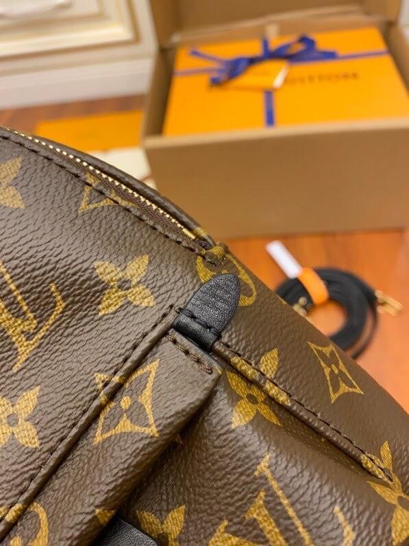 Louis Vuitton Bags