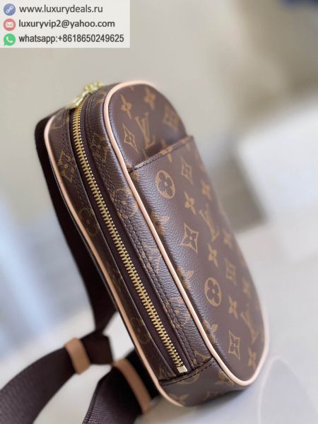 Louis Vuitton Bags