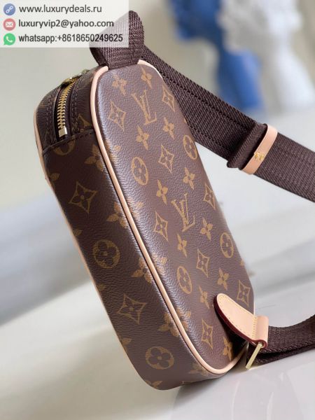 Louis Vuitton Bags