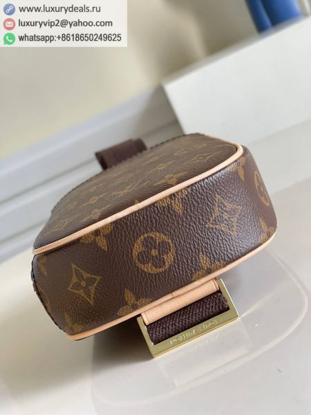 Louis Vuitton Bags