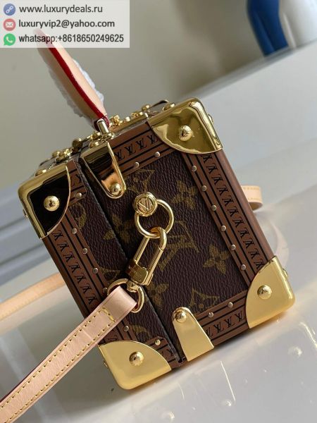 Louis Vuitton Bags