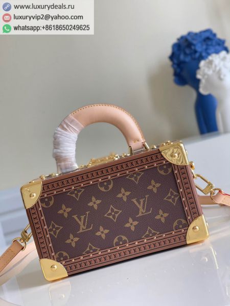 Louis Vuitton Bags