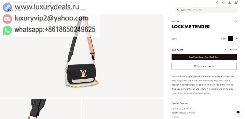 Louis Vuitton Bags