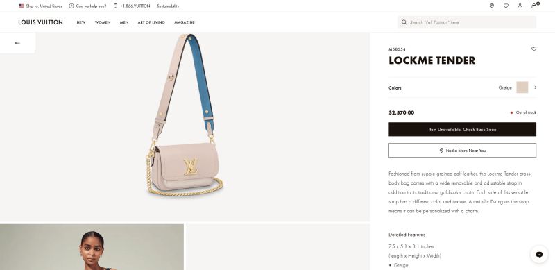 Louis Vuitton Bags