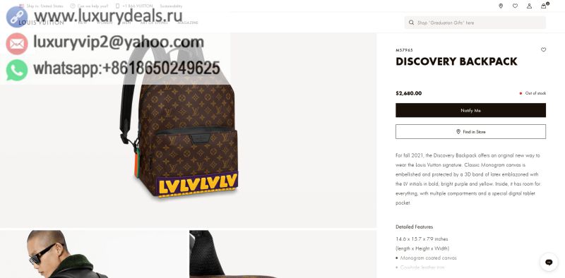 Louis Vuitton Bags