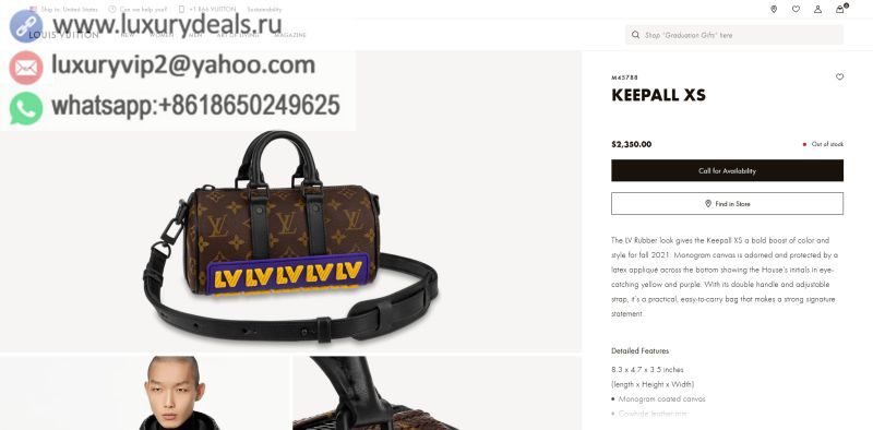 Louis Vuitton Bags