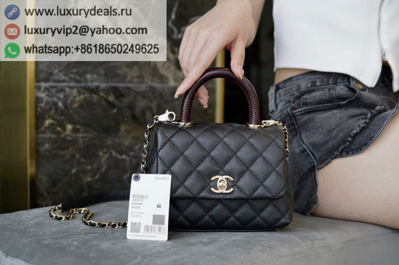 CHANEL 2021S Mini coco handle 19cm Flap Bags AS2215