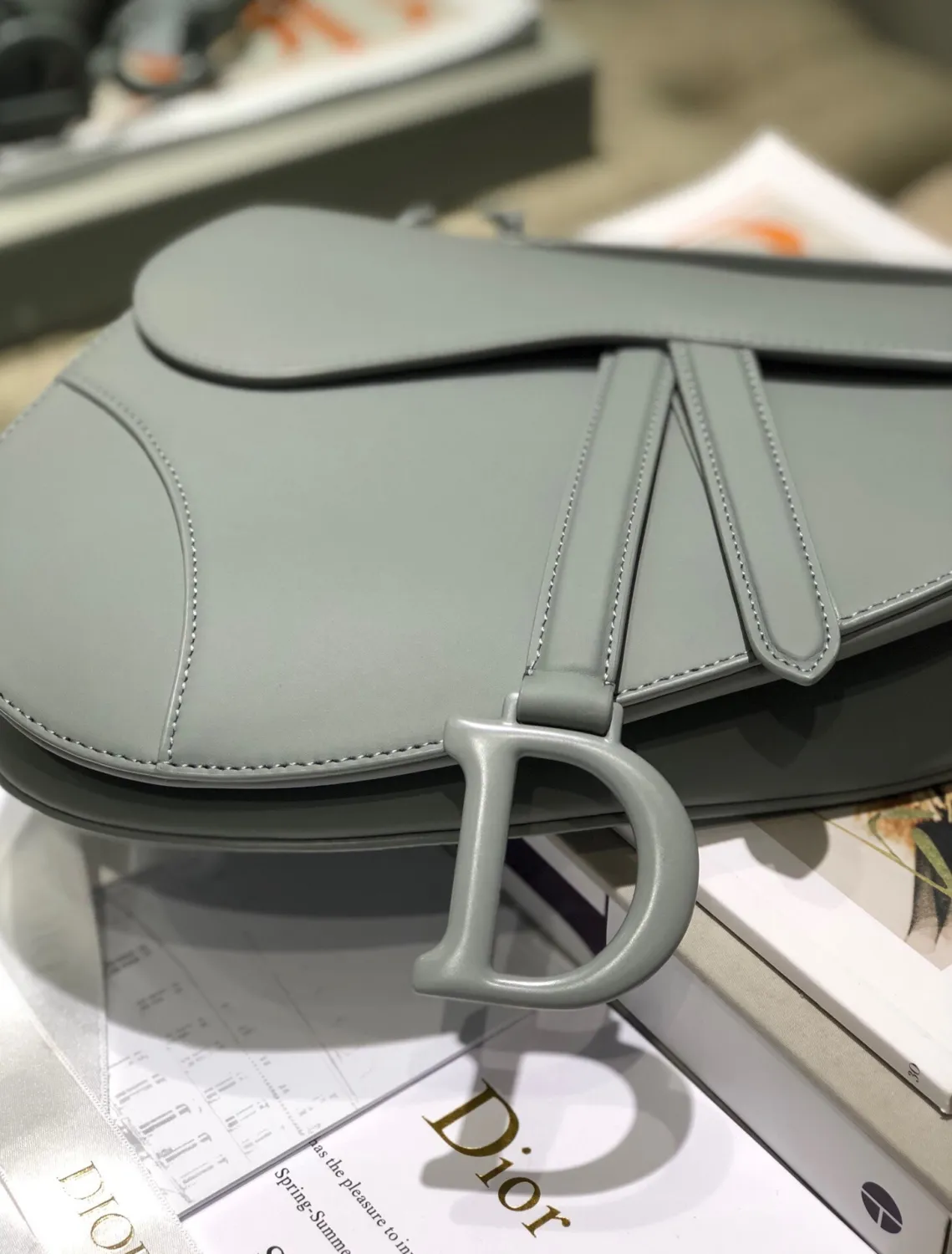 DIOR Saddle M0446 Grey