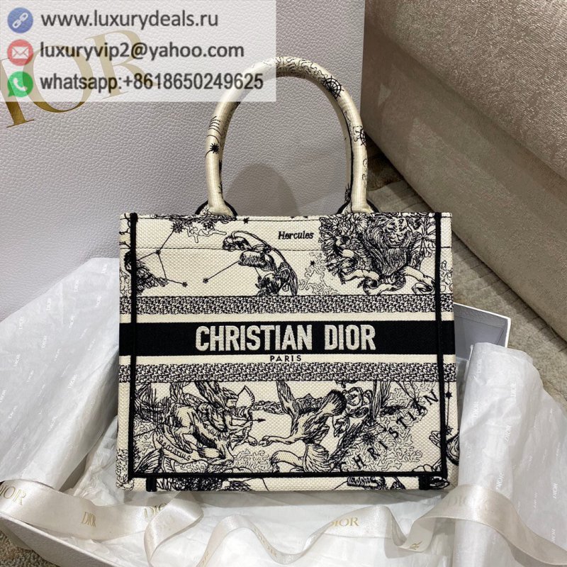 Small DIOR Book Tote M1265ZRHZ_M941