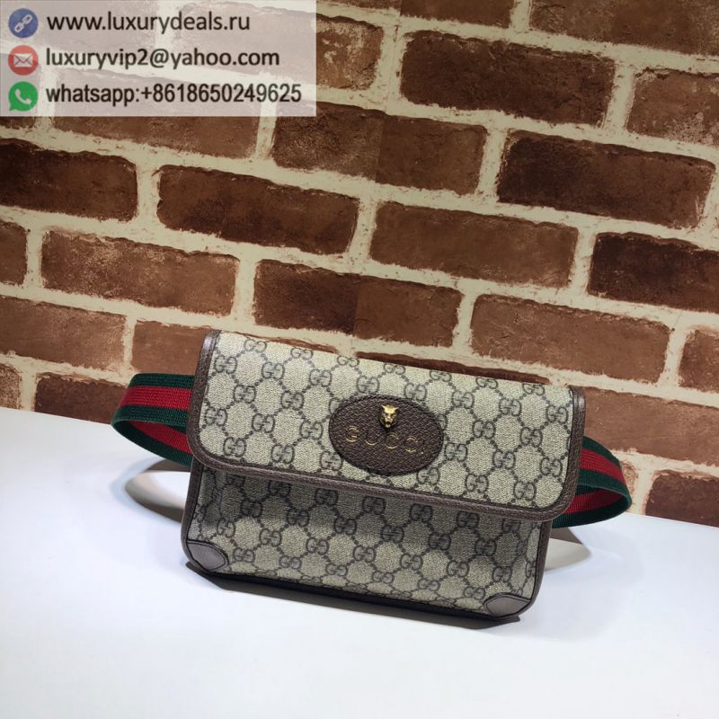 GUCCI Canvas Fanny Packs 493930