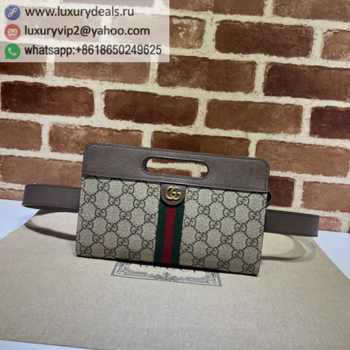 GUCCI Brown Fanny Packs 704196