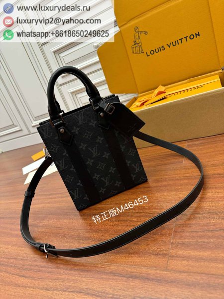 Louis Vuitton M46453 SAC PLAT mini