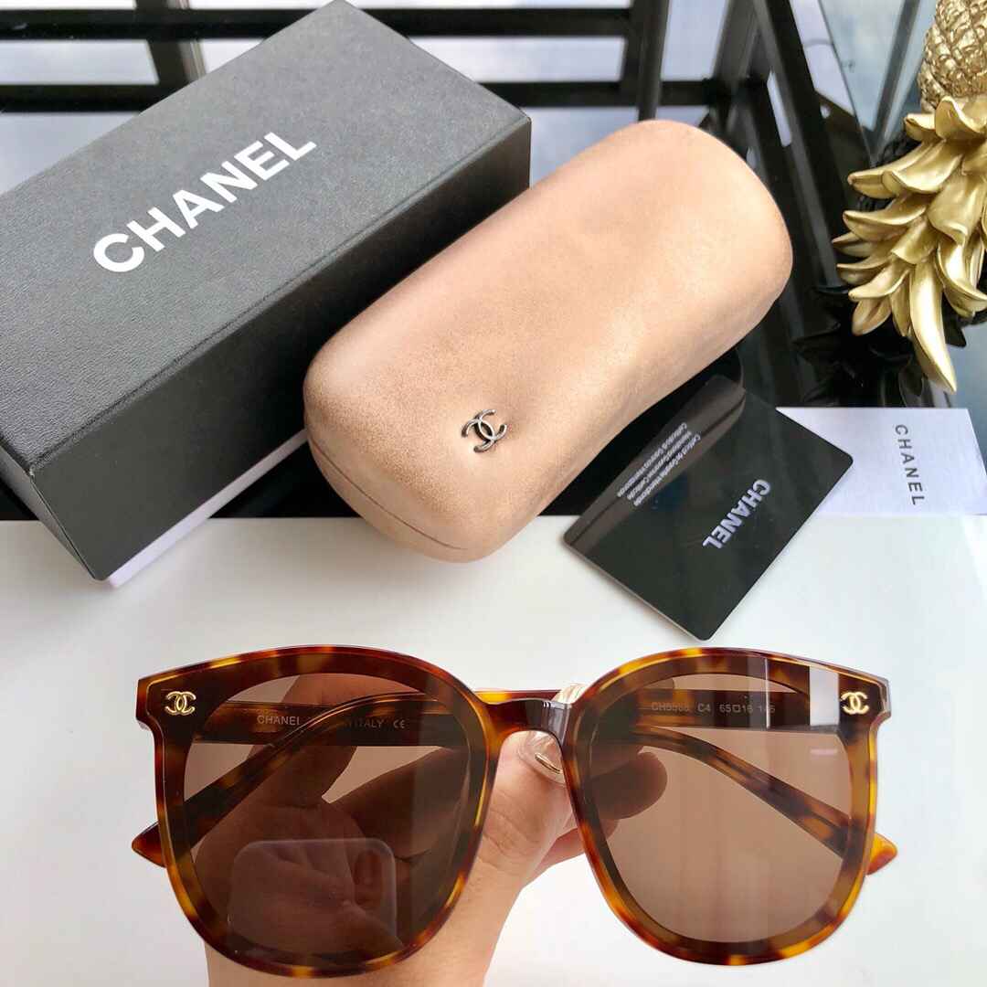 CC logo Women Sunglasses