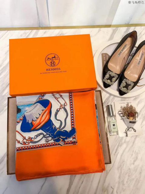 Hermes Women Scarves