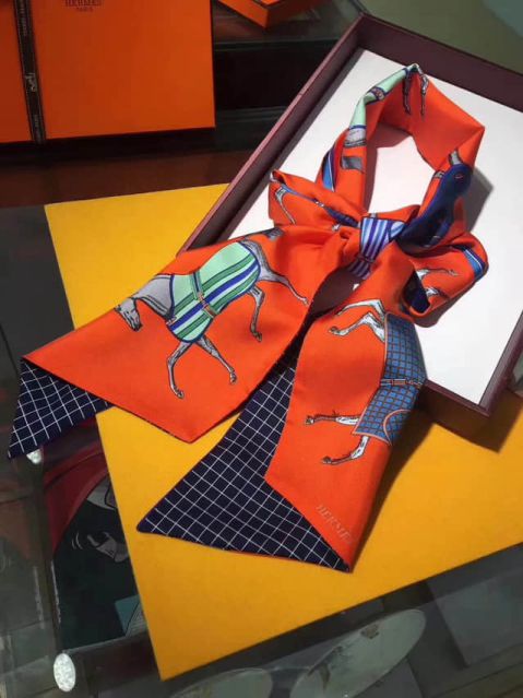 Hermes Women Scarves