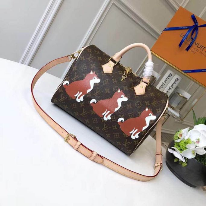 LV Tote Bags SPEEDY 30