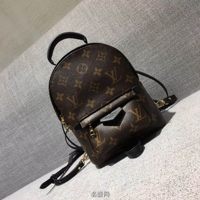 LV Backpack Bags Backpack Mini M41562