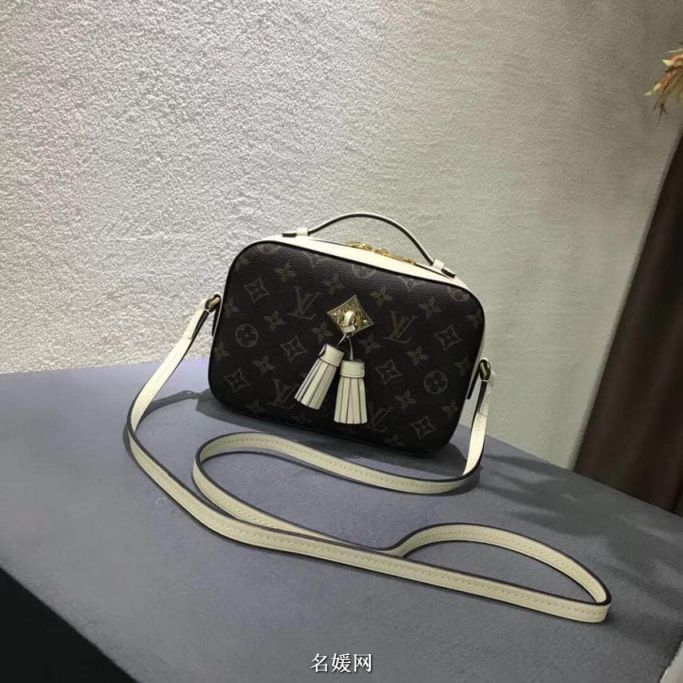 LV Shoulder Bags 18 Saintonge Crossbody M43559