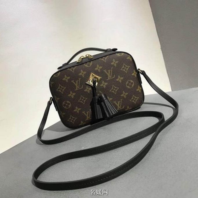 LV Shoulder Bags 18 Saintonge Crossbody M43555