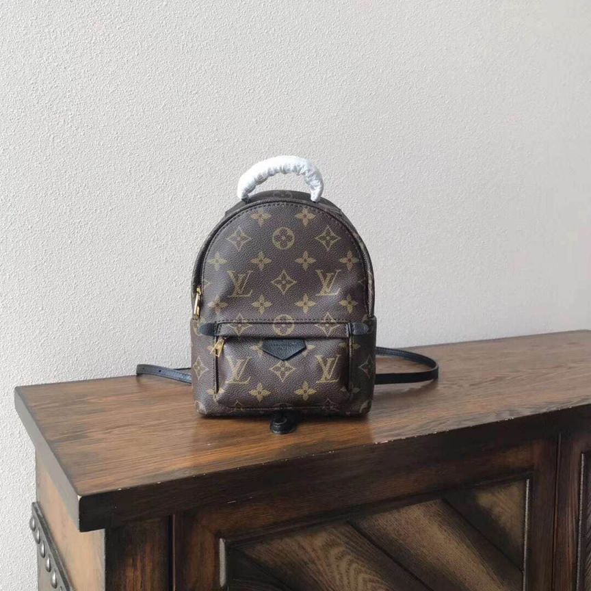 LV Backpack Bags BACKPACK MINI M41562