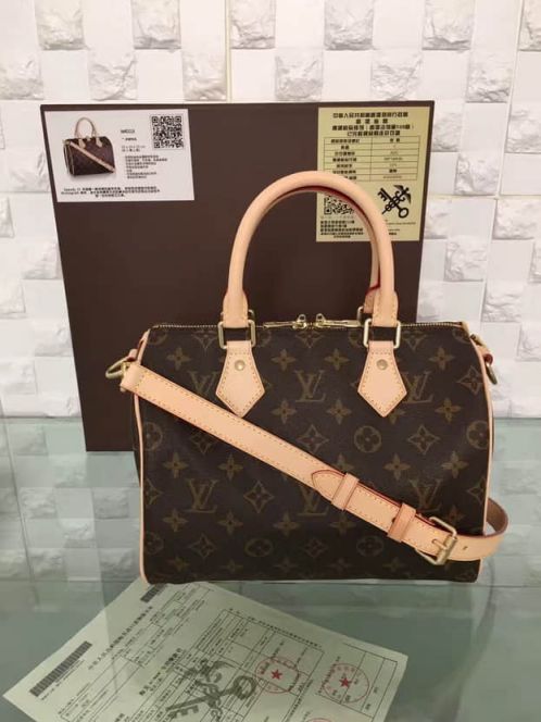 LV Tote Bags SPEEDY 25 M41113